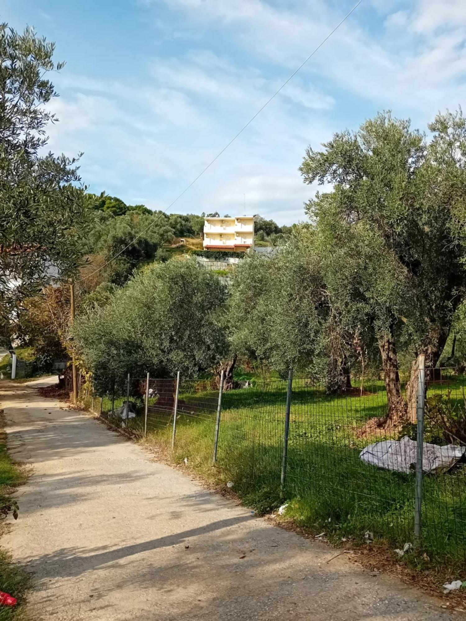 Villa Krini Skiathos by Eksteriør billede